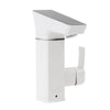 Smart Faucet
